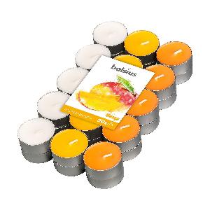 Bolsius Multicolor Tealight Profumate - Fragranza Mango - Set di 30 Pezzi -  3 Colori - Lunga Durata di 4 Ore - Candele Decorative - Cera - Senza Fumo 