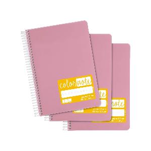 Rhino - Quaderno a quadretti da 7 mm, formato A4, 80 pagine, confezione da  10, colore: viola : : Cancelleria e prodotti per ufficio